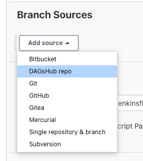 DagsHub branch srouce