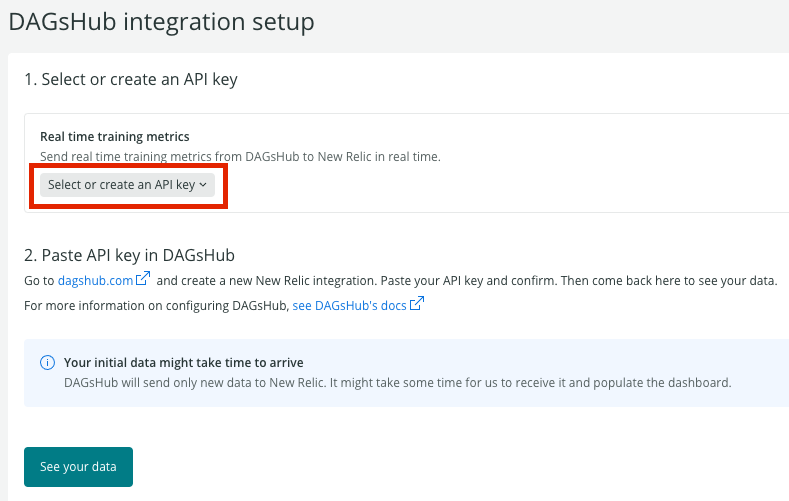 Copy the New Relic API key