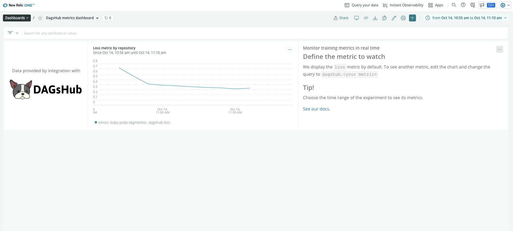 DagsHub dashboard on New Relic